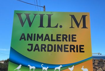 WIL.M publicité